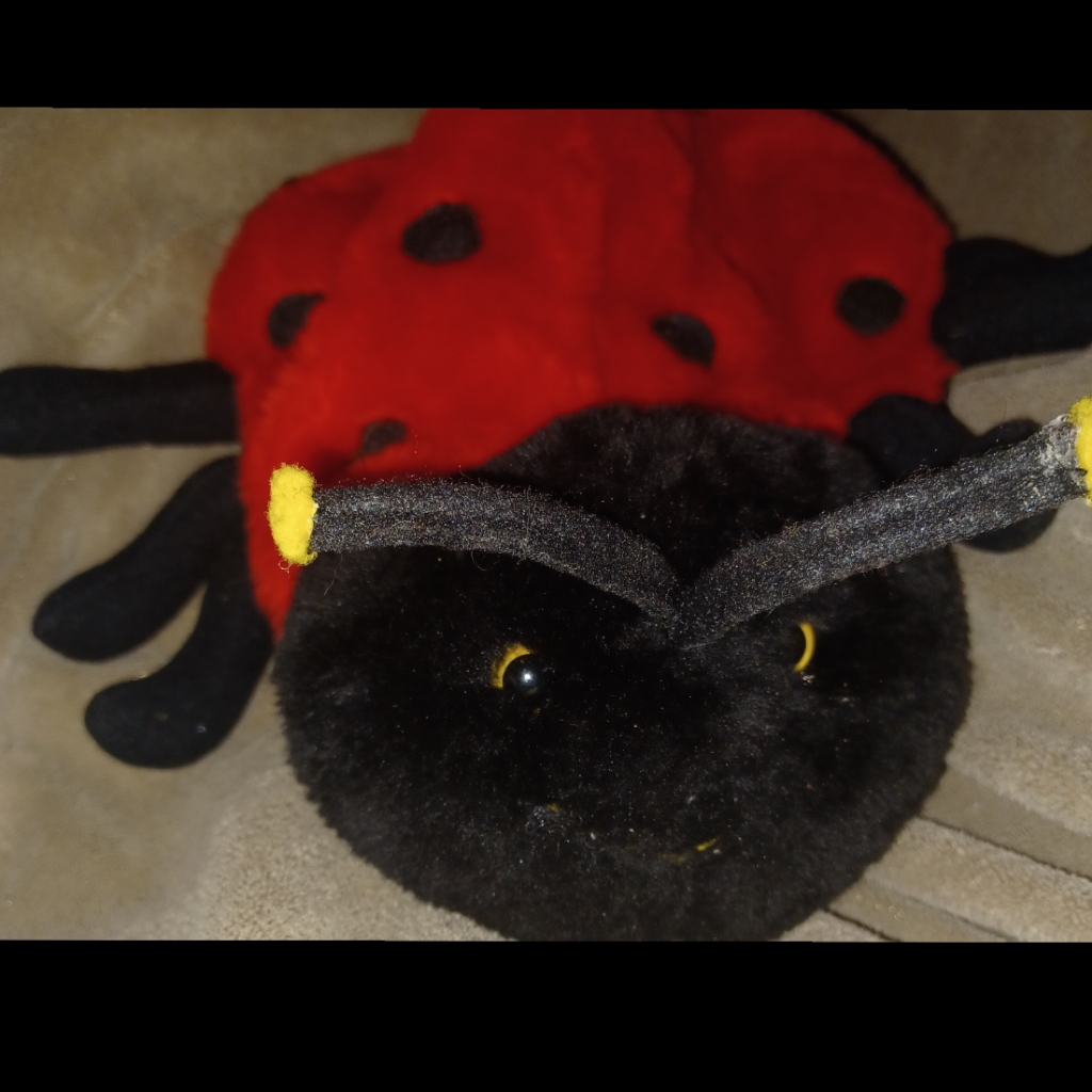 Ladybug Backpack By Abc Distributing Inc